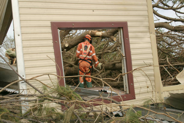 Best Tree Health Inspection  in Manvel, TX
